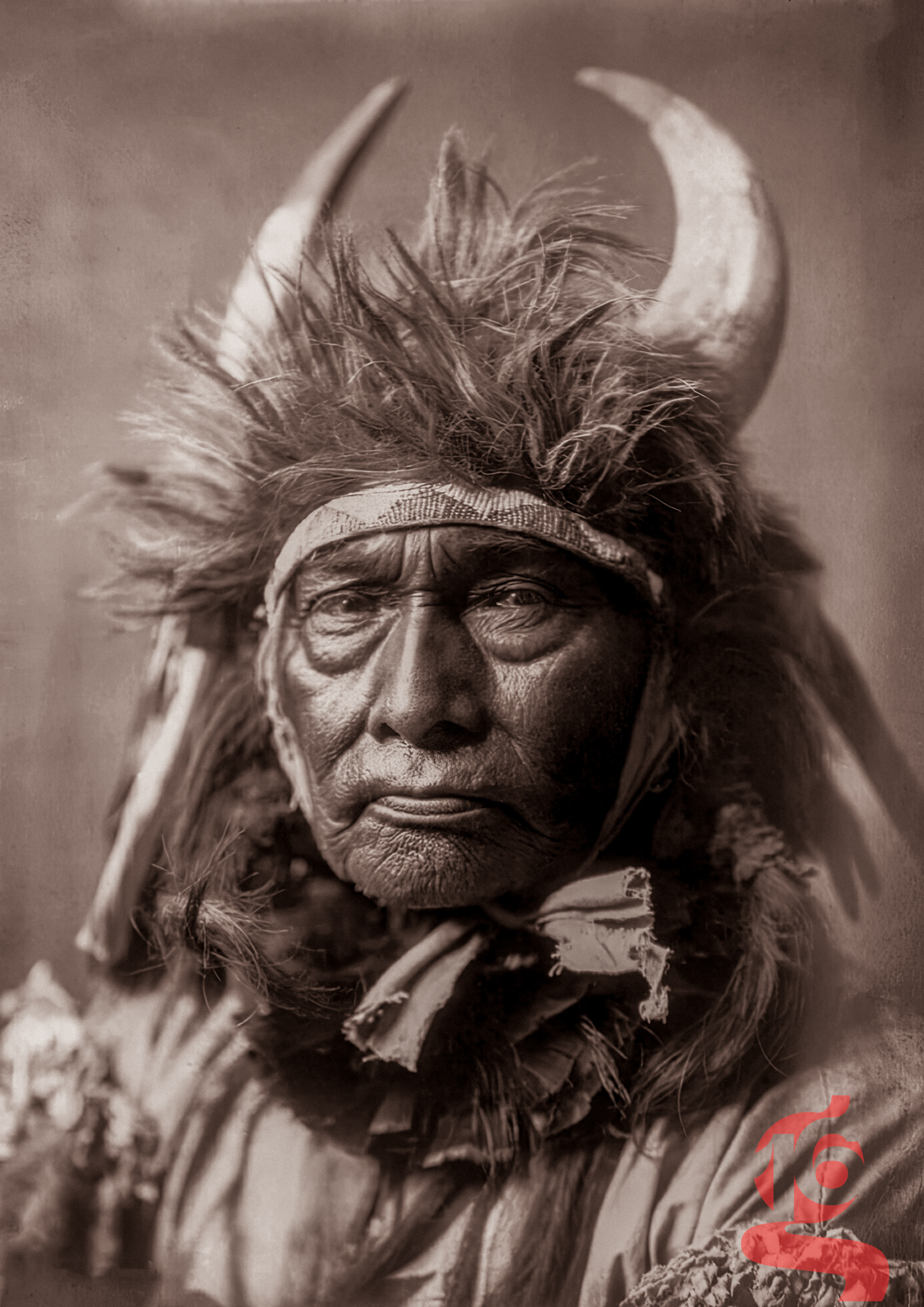 Portrait de Bull Chief, homme Apsáalooke portant une coiffe à cornes et à plumes, photographié par Edward S. Curtis en 1908.