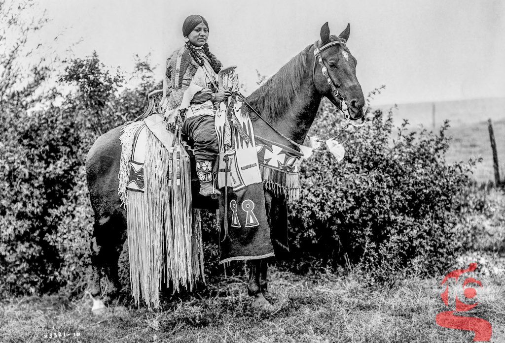 Cavalière apsáalooke sur un cheval richement décoré — Edward S. Curtis, 1910