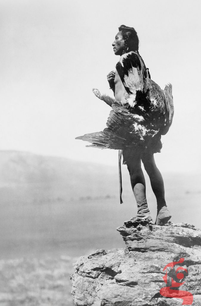Homme hidatsa tenant un aigle sur un promontoire rocheux, photographié par Edward S. Curtis vers 1908.
