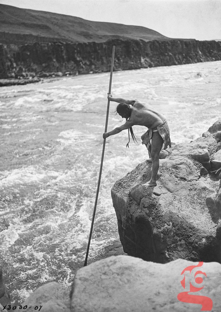 Pêcheur wishham utilisant une longue lance au bord du fleuve Columbia, photographié par Edward S. Curtis en 1909.