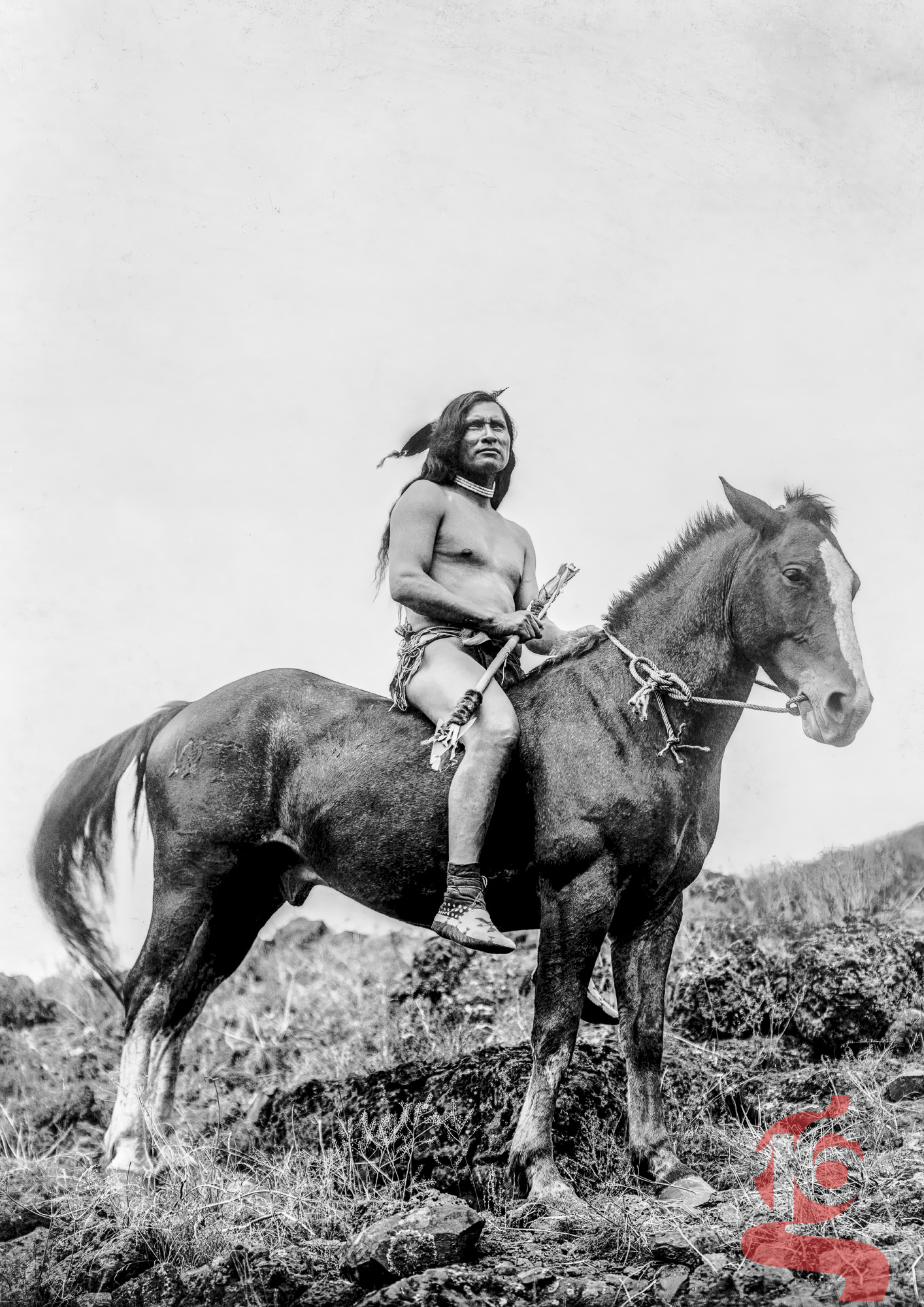 Cavalier Nez Percé à cheval, The Old-Time Warrior, Edward S. Curtis, 1910