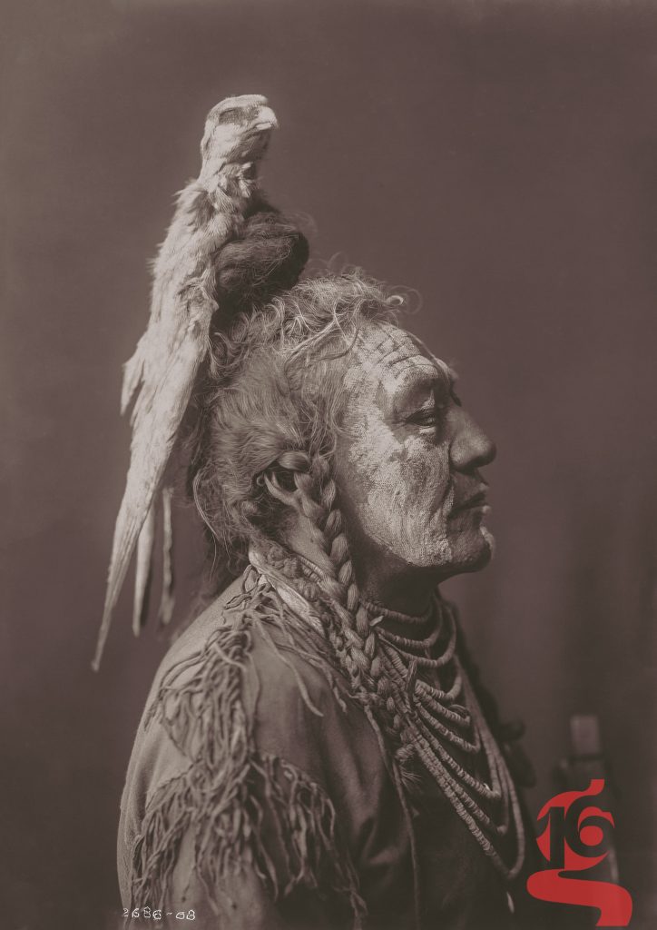 Two Whistles de profil avec coiffe au faucon — Apsáalooke — Edward S. Curtis, 1908