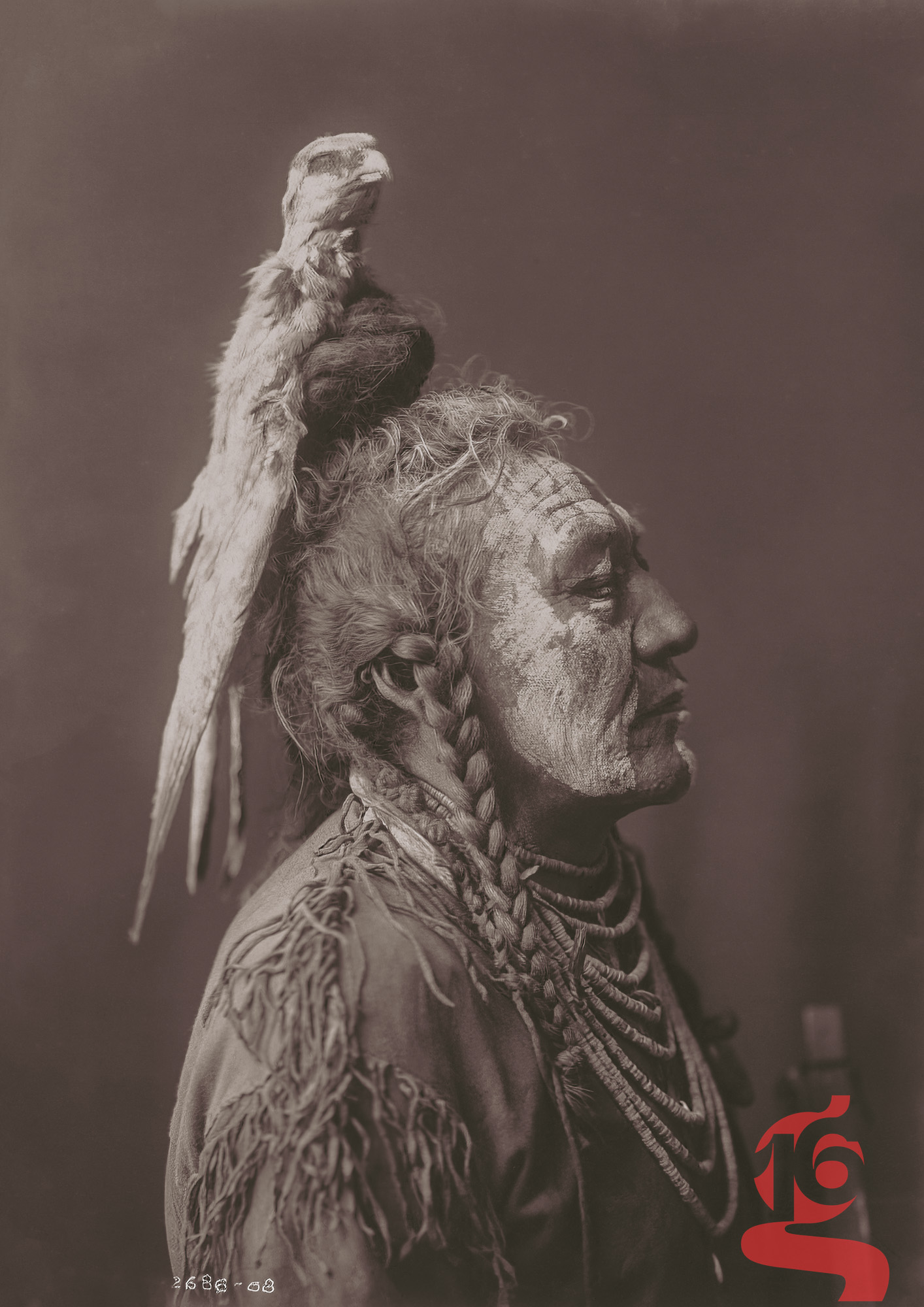 Two Whistles de profil avec coiffe au faucon — Apsáalooke — Edward S. Curtis, 1908