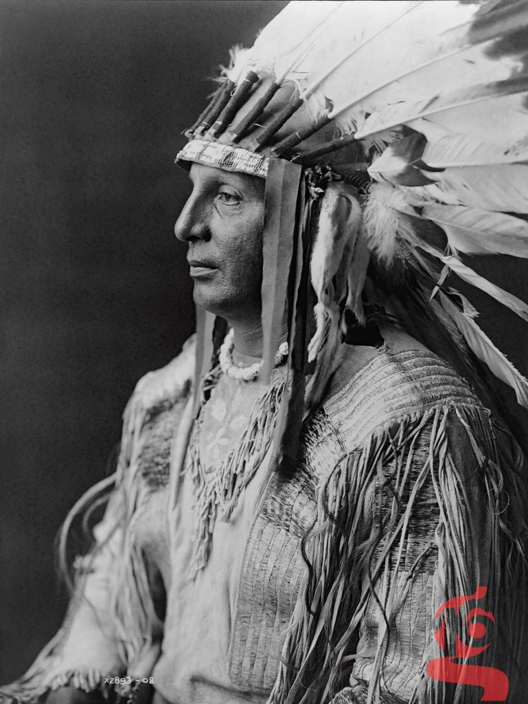 White Shield portant une coiffe de plumes — Arikara — Edward S. Curtis, 1908
