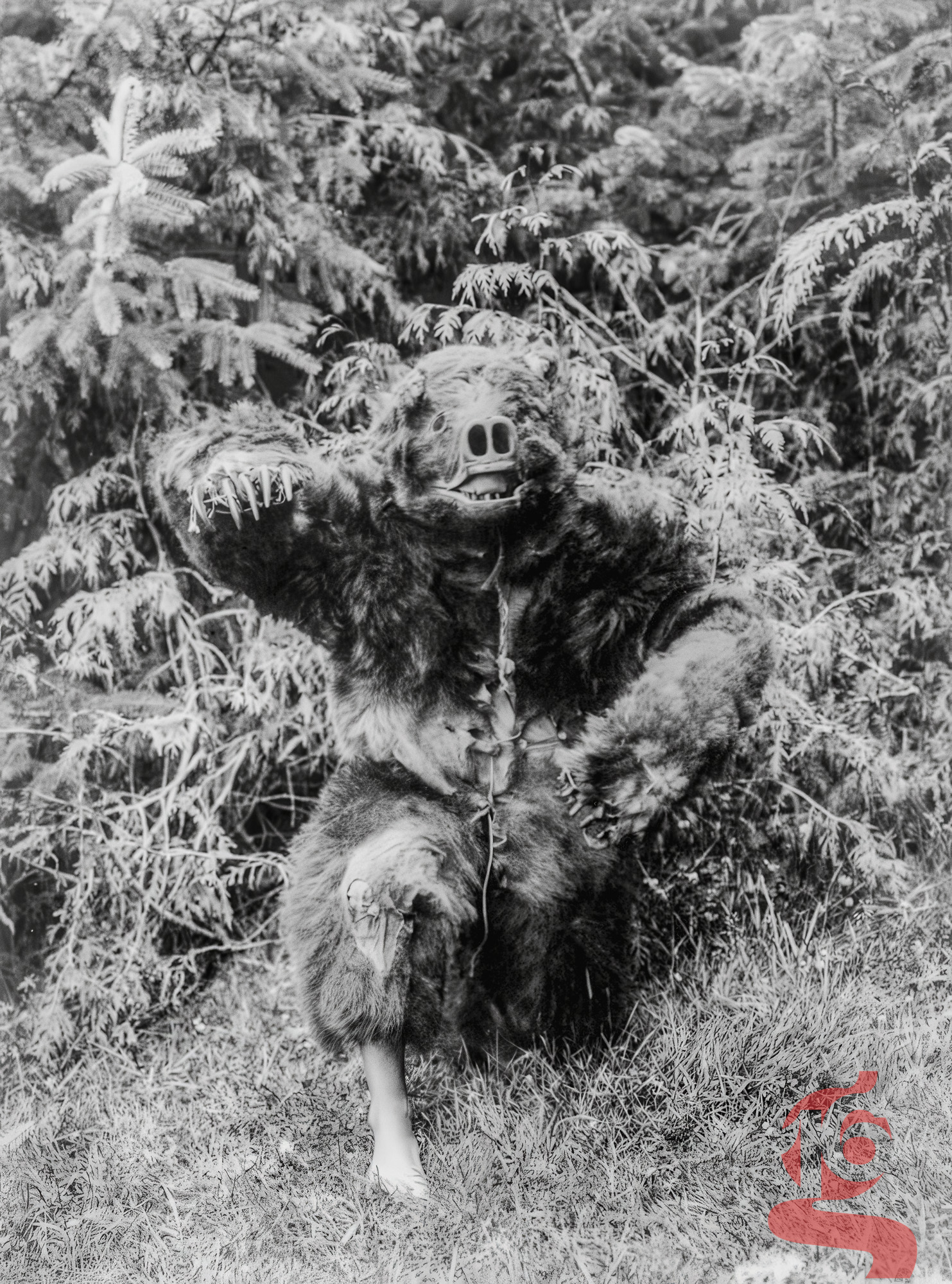 Homme Qagyuhl portant un costume cérémoniel d’ours avec masque et griffes, photographié par Edward S. Curtis en 1914.